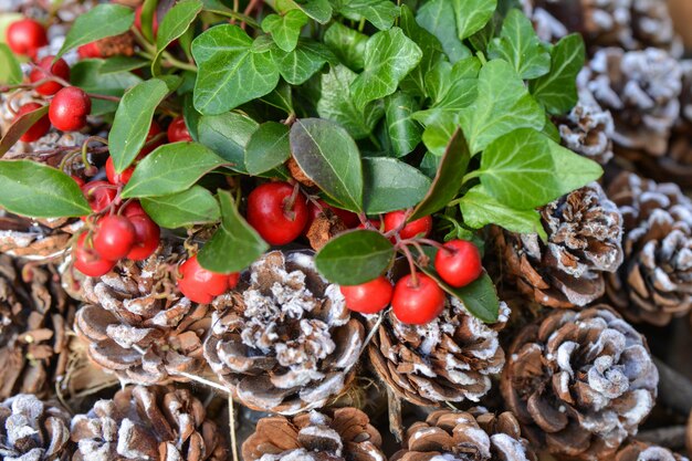 Bayas de Navidad rojas gaultheria en el fondo de conos en la nieve.