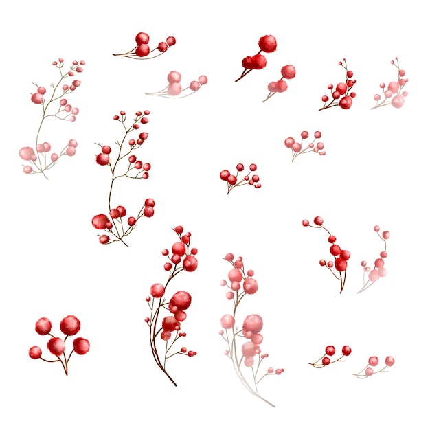 Bayas rojas en una rama Ilustraciones en acuarela Bayas de invierno de Navidad y ramas aisladas en blanco