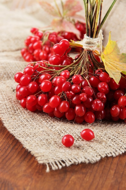 Bayas rojas de viburnum sobre una servilleta de cilicio, sobre fondo de madera