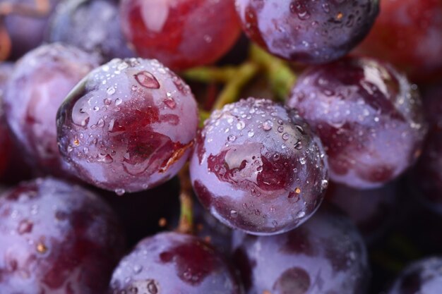 Bayas uvas en gotas de agua