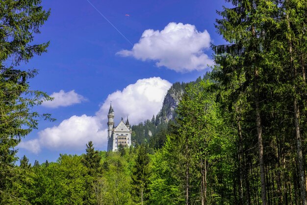 Bayern deutschlandapril 28 2018 die details von schloss neuschwanstein in deutschland