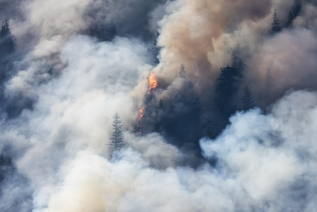 BC Incêndio Florestal e Fumaça sobre a montanha perto de Hope