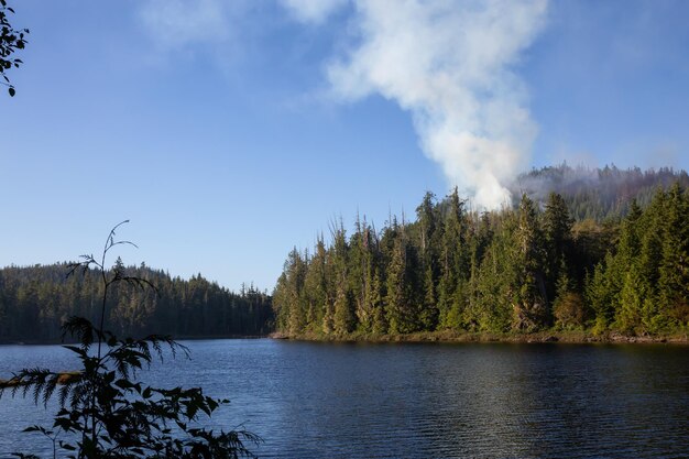 BC Wild Fire durante un caluroso día soleado de verano