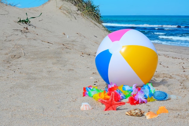 Beach Ball Muscheln Seesterne und Schutzbrillen am Strand