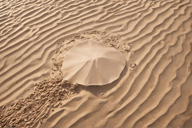 Foto beach-mockup-hintergrund eine qualle im sand am strand