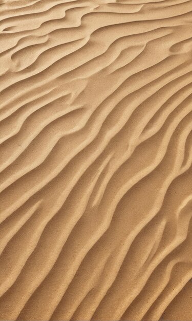 Beach-Mockup-Hintergrund eine Wüste mit Sanddünen und einem kleinen Baum