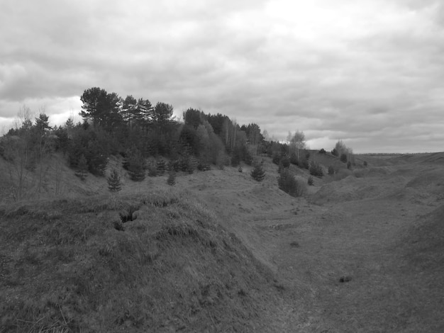 Beängstigende Fotos von Feldern, Wolken und Bäumen