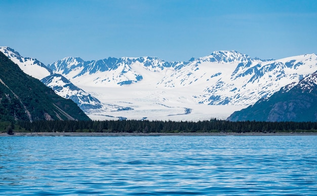 Bear Glacier entrando na baía perto de Seward no Alasca