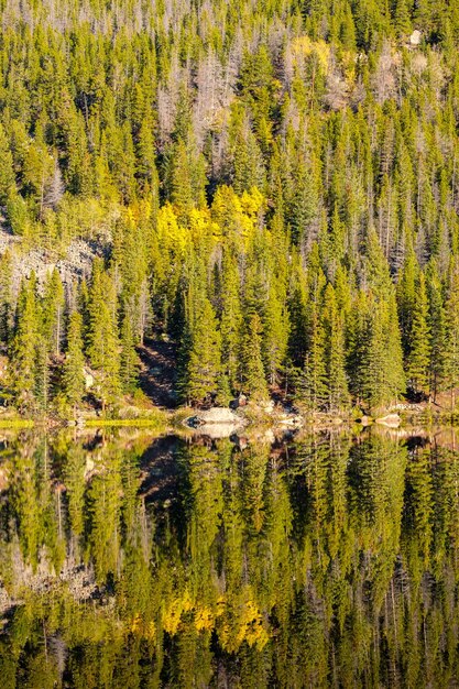 Bear Lake Montañas Rocosas Colorado EE.UU.