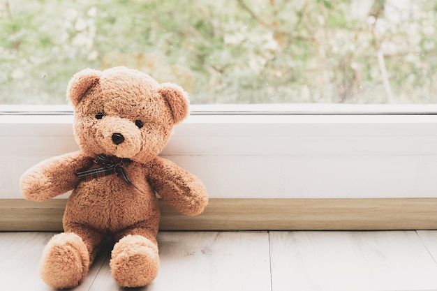 Bear se quedó mirando por la ventana, no estés triste