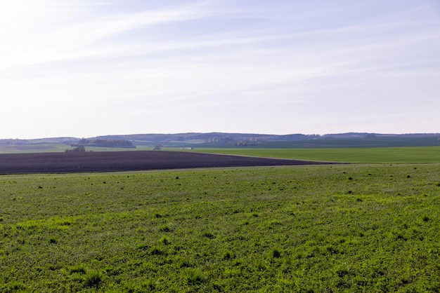 Bearbeitung und Vorbereitung des Bodens für die Aussaat einer neuen Kultur