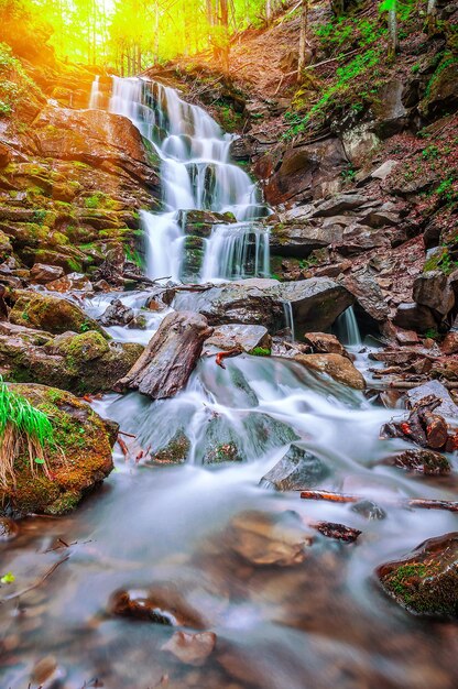 Beauriful Wasserfall im Karpatenwald