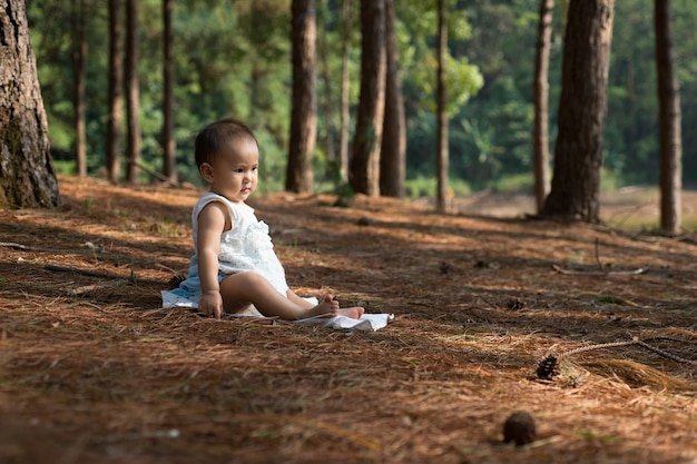 Foto bebé asiático que aprende uma natureza na floresta do pinho com luz morna, fami encantador quente do sentimento