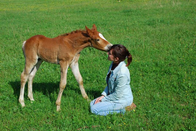 bebé caballo con mujer joven en pasto