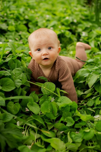 Un bebé en un campo de hojas verdes.