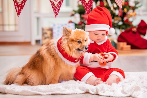 Bebê com fantasia de Papai Noel e spitz fofo da Pomerânia brincam juntos em casa no contexto de uma árvore de Natal decorada.