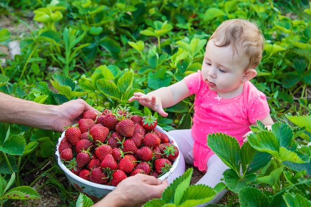 Bebé come fresas en el jardín.