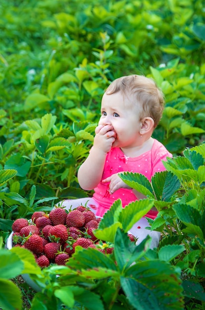 Bebé come fresas en el jardín.