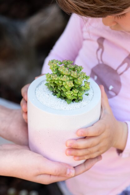 Bebê de suéter roxo está segurando uma planta suculenta no vaso de cerâmica branco-roxo com as mãos