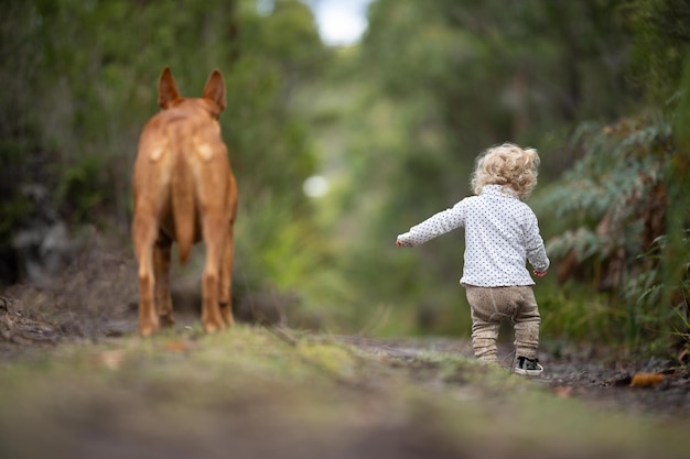 Bebê e cachorro na floresta selvagem caminhando juntos
