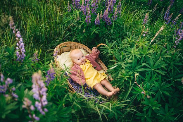 Bebê em uma cesta de vime em um campo de lúpulo na natureza no verão no pôr do sol da noite