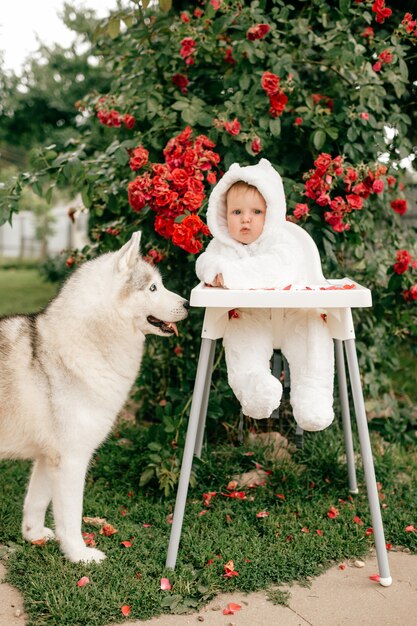 Bebé encantador en traje de oso sentado en una silla alta con perro husky al aire libre cerca de arbustos con flores rojas