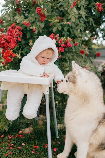 Bebé encantador en traje de oso sentado en una silla alta con perro husky mirándolo