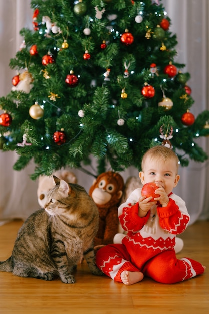 El bebé está comiendo una manzana mientras está sentado junto a un gato frente a un árbol de Navidad. Foto de alta calidad