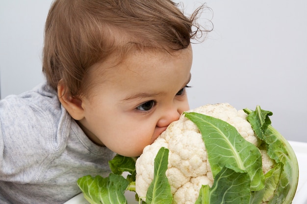 El bebé está tratando de morder una coliflor