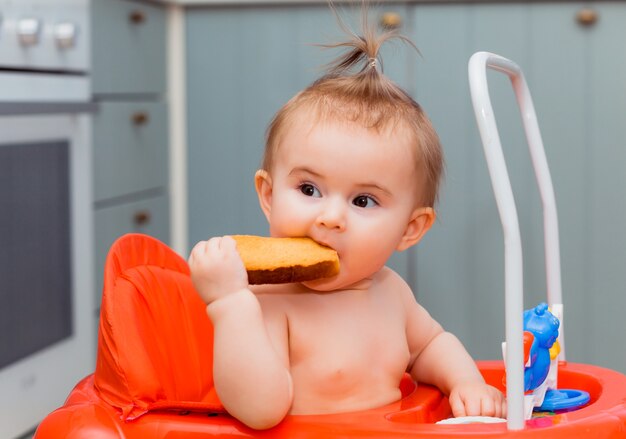 Bebê feliz sentado em andadores vermelhos e comendo um biscoito. bebê sorrindo