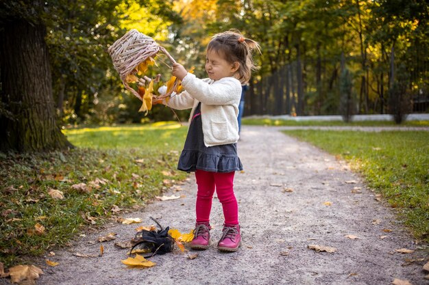 Bebê fofo brincando com a cesta e folhas de bordo na floresta de outono