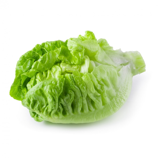 Bebé fresco Cos Lettuce Isolated sobre el fondo blanco.