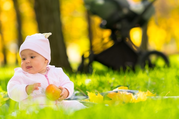 Bebé joven contento al aire libre en un parque de otoño sentado en una alfombra sobre la hierba verde fresca sosteniendo una manzana en una vista de ángulo bajo que muestra los coloridos árboles amarillos detrás