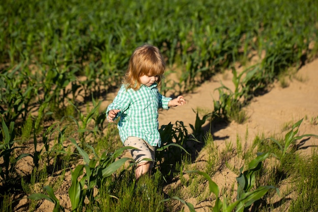 Bebé jugando en la hierba verde Niño divirtiéndose en un picnic familiar en el jardín de verano Bebé en un campo de cultivo de maíz al aire libre Niño divirtiéndose con la agricultura y la jardinería de la cosecha de vegetales Pequeño agricultor