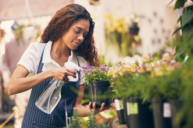 Bebe mis ranúnculos. Toma de una floristería regando sus plantas con una botella de spray.