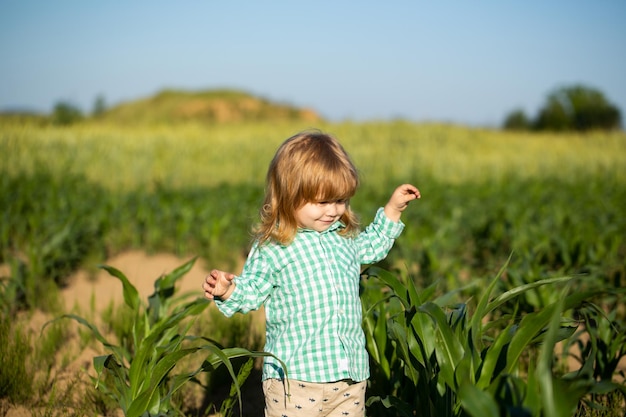 Bebé niño en la hierba verde en el parque de verano Bebé en el campo de cultivo de maíz al aire libre Niño divirtiéndose con la agricultura y la jardinería de la cosecha de vegetales Pequeño granjero