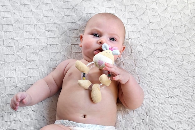Bebê recém-nascido bonito deitado de costas e brinca com brinquedos coloridos pequena criança de três meses leva um