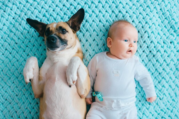 Bebê recém-nascido deitado com cachorro engraçado na cama.