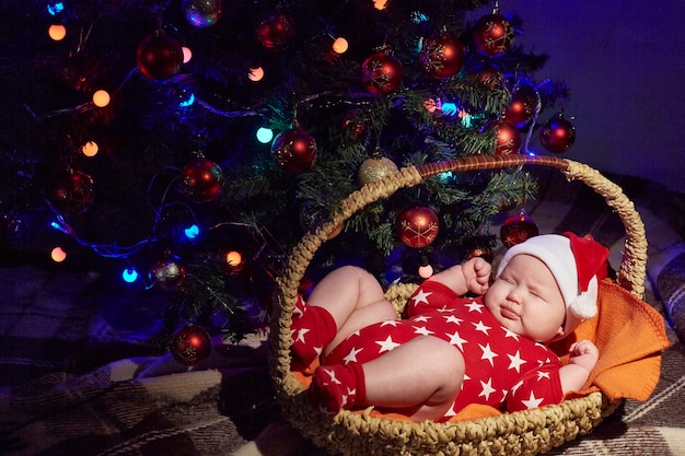 Bebê recém-nascido dorme com um chapéu de Papai Noel debaixo de uma árvore de Natal em uma cesta