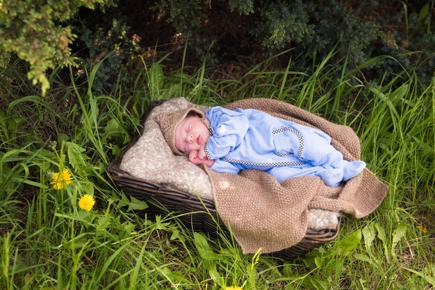Bebê recém-nascido dorme em uma cesta no parque de verão