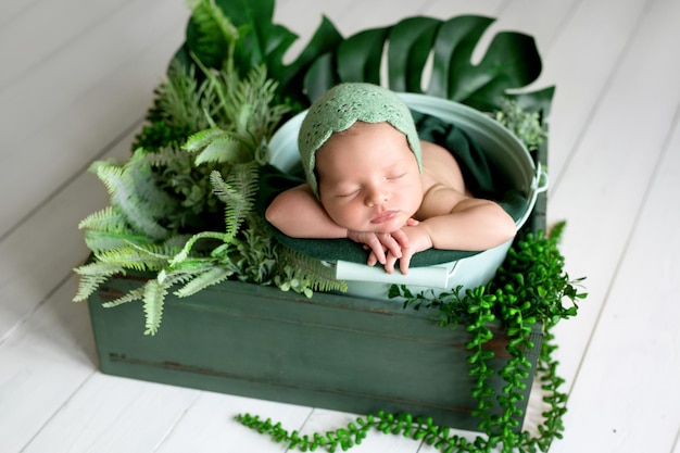Bebé recién nacido durmiendo entre plantas de monstera y otra vegetación