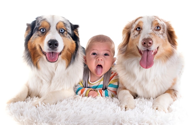 Foto bebes y perros