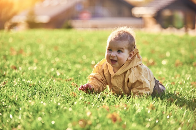Bebezinho, rastejando entre as folhas caídas no gramado verde em dia de sol