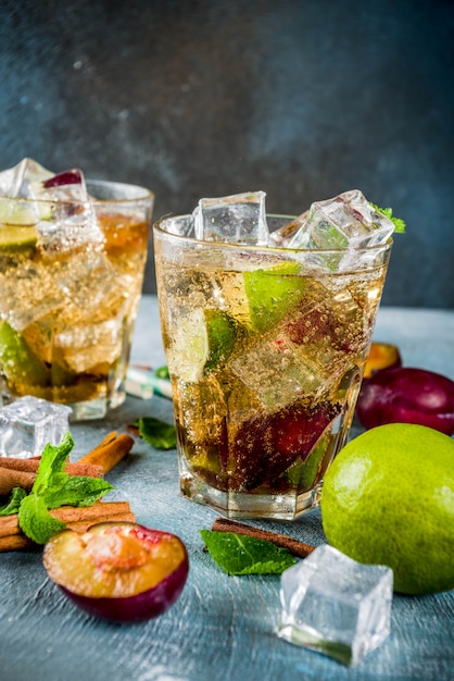 Bebida de verão gelado. Cocktail de limonada com canela e ameixa, com limão e hortelã