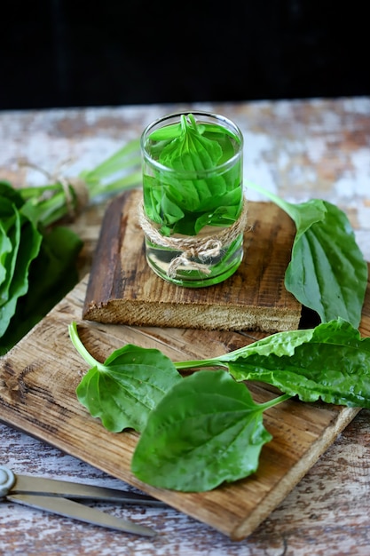 Bebida de hoja de plátano