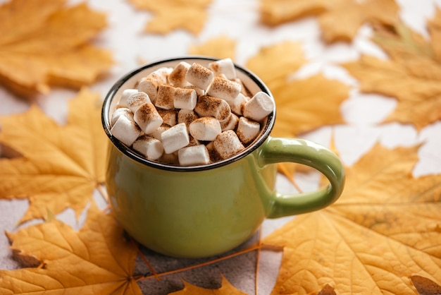 Bebida quente temperada de outono com marshmallow em fundo de folhas amarelas douradas