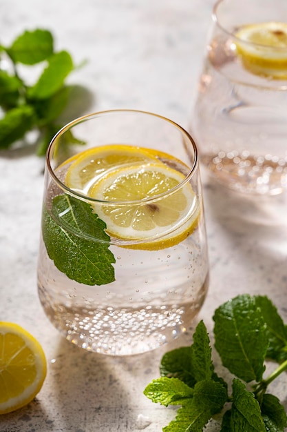 Bebida refrescante infundida con agua de desintoxicación con limón, arándano y menta Fondo brillante Gafas rosas