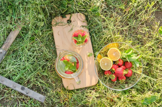 Bebidas caseiras naturais refrescantes de verão