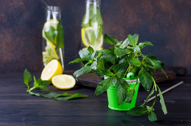 Bebidas frescas de mojito en botellas e ingredientes: limón y menta