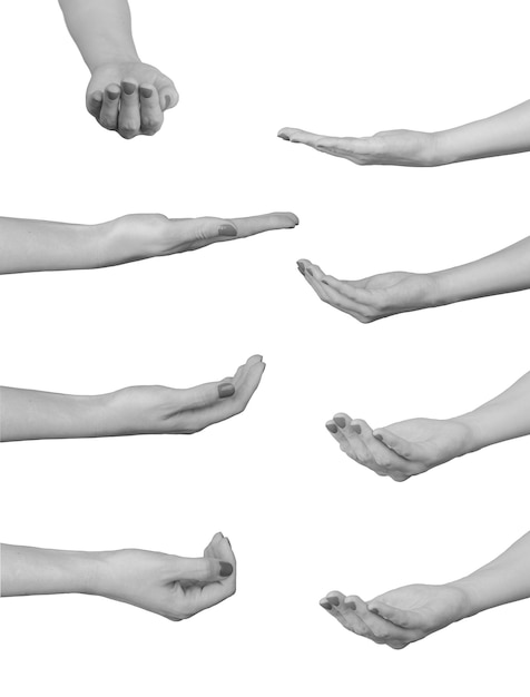 Bechelförmige Hände und Handflächen, die etwas anbieten, isoliert auf weißem Hintergrund